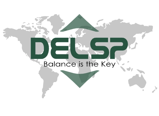 DELSP - Dynamic Elevator Services Pakistan